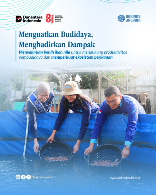 Program TJSL Agrinas Jaladri Bantu Empat Pembudidaya Kembangkan Budidaya Ikan Nila Merah